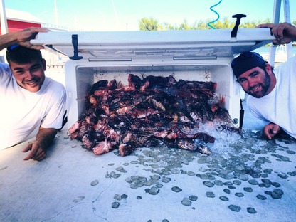 Top Team "Chase 'N' Tail" with their lionfish haul Top Team "Chase 'N' Tail" with their lionfish haul