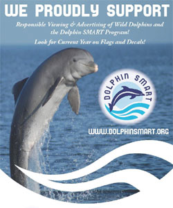 Wild Dolphin Feeding Program